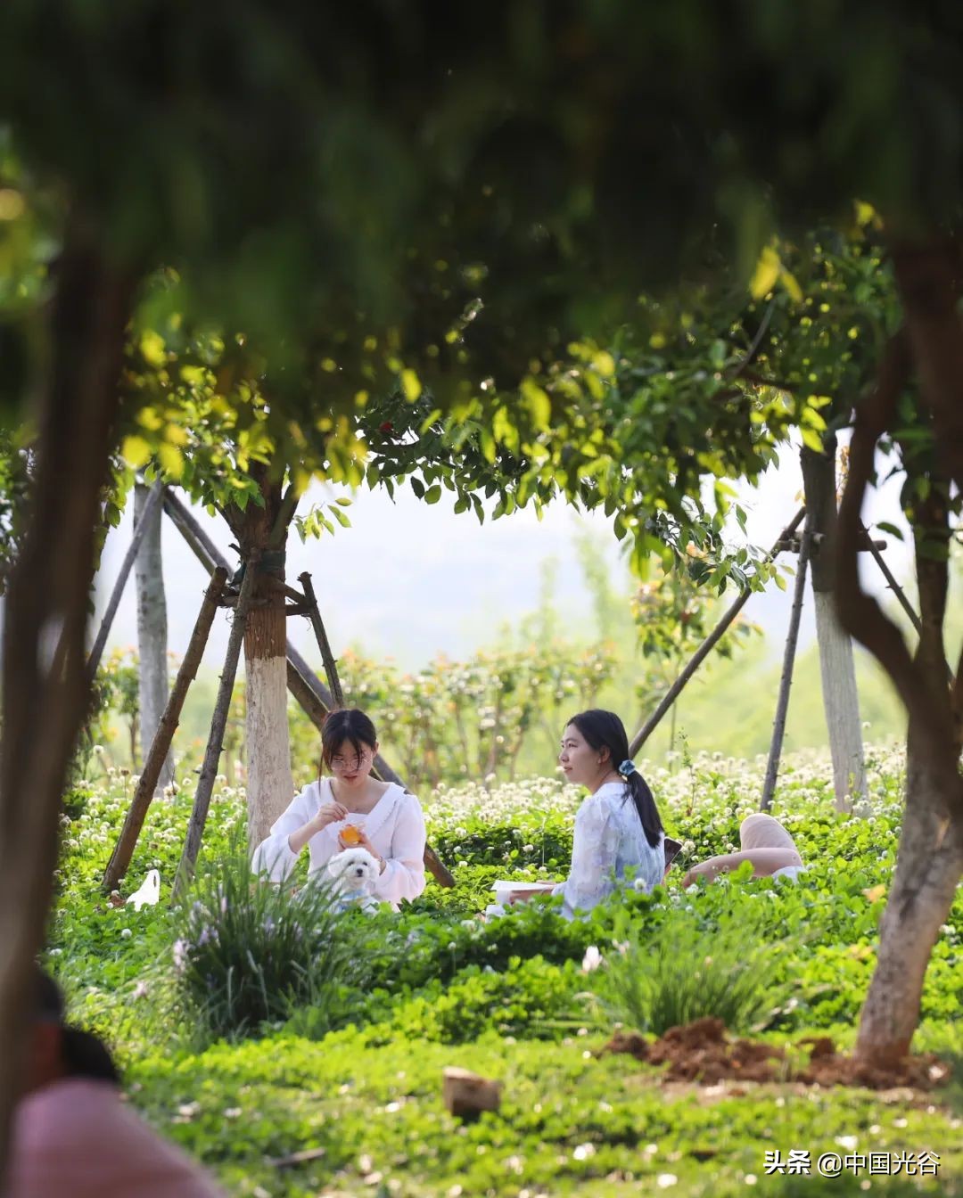 五一，光谷这些地方可以露营，还可以赏花、登山、看展……