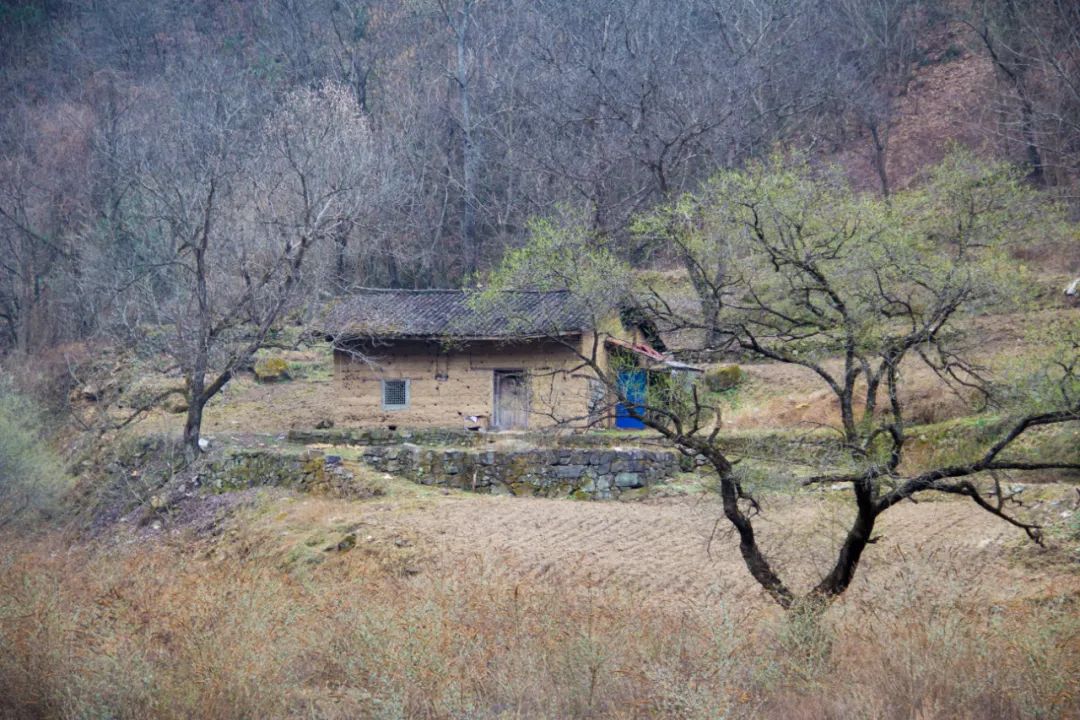疫情让秦岭山村变得更加寂静，寻访秦岭坪沟，尽量不主动接触村民