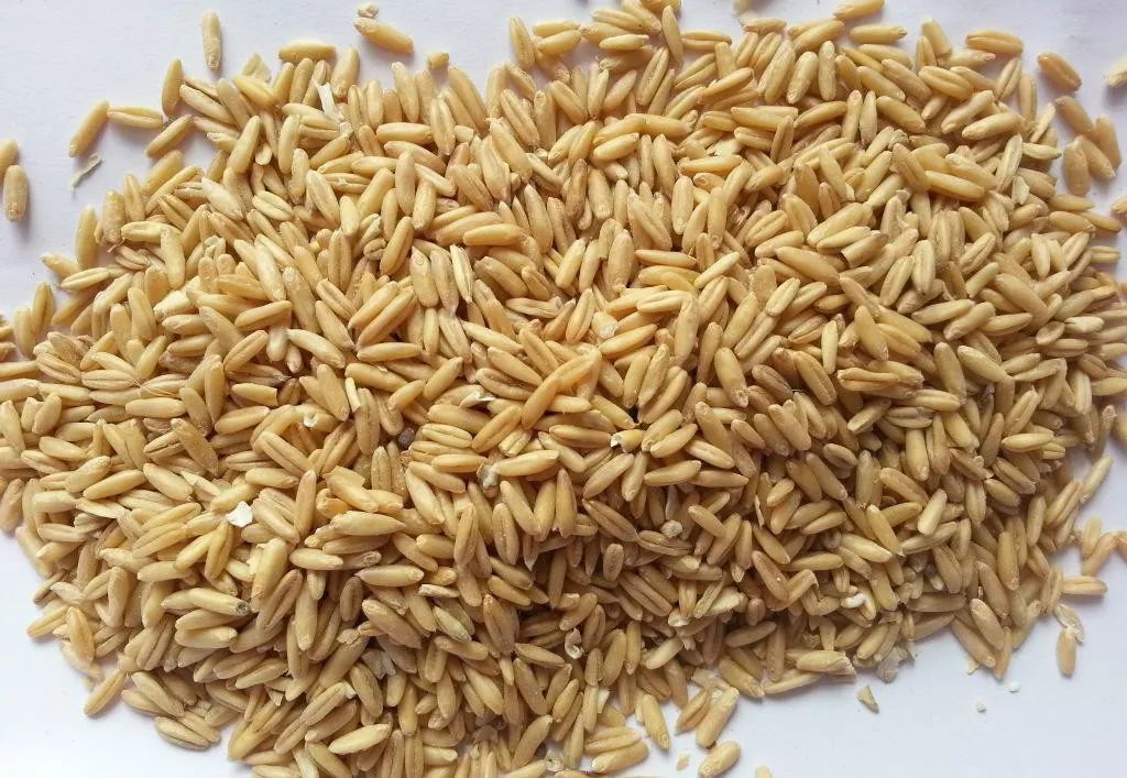 五谷杂粮食物图片大全大图,五谷杂粮图片大全大图真实