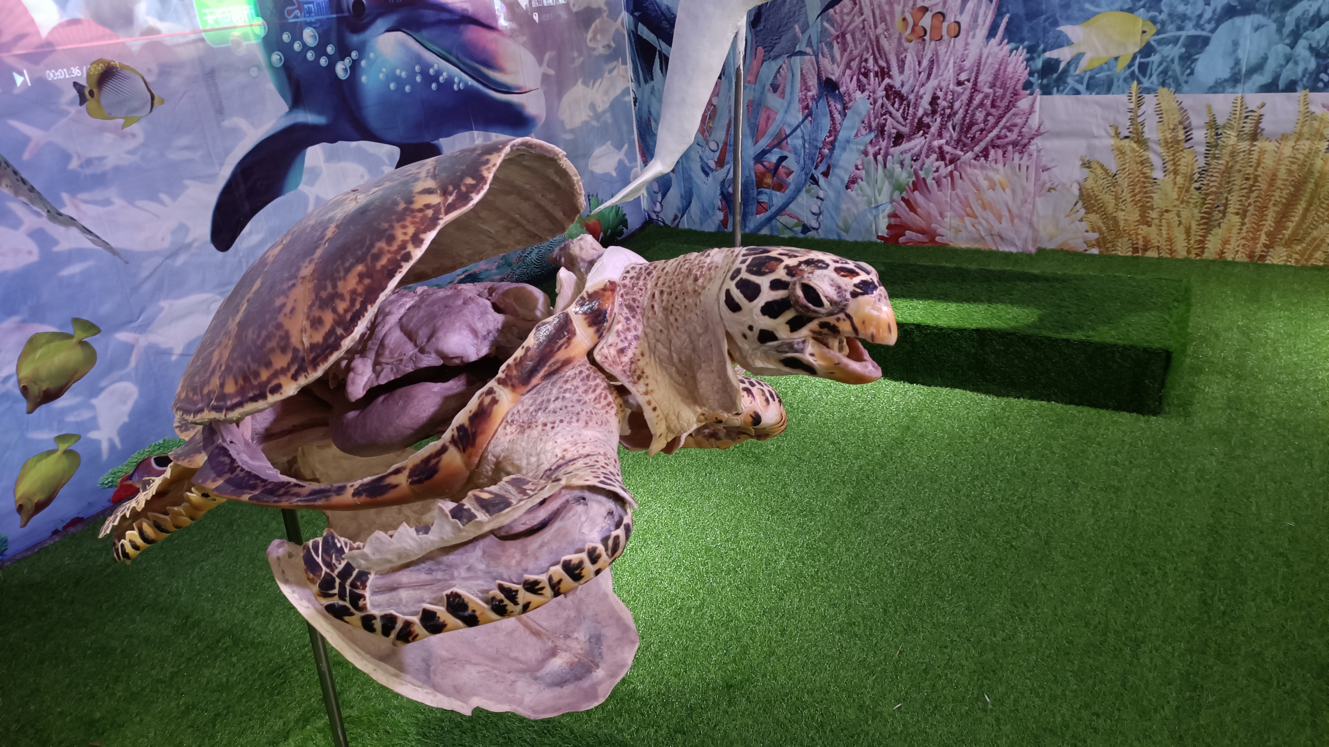 不负*光春**，来郑州人体科学院探寻生命进化证据