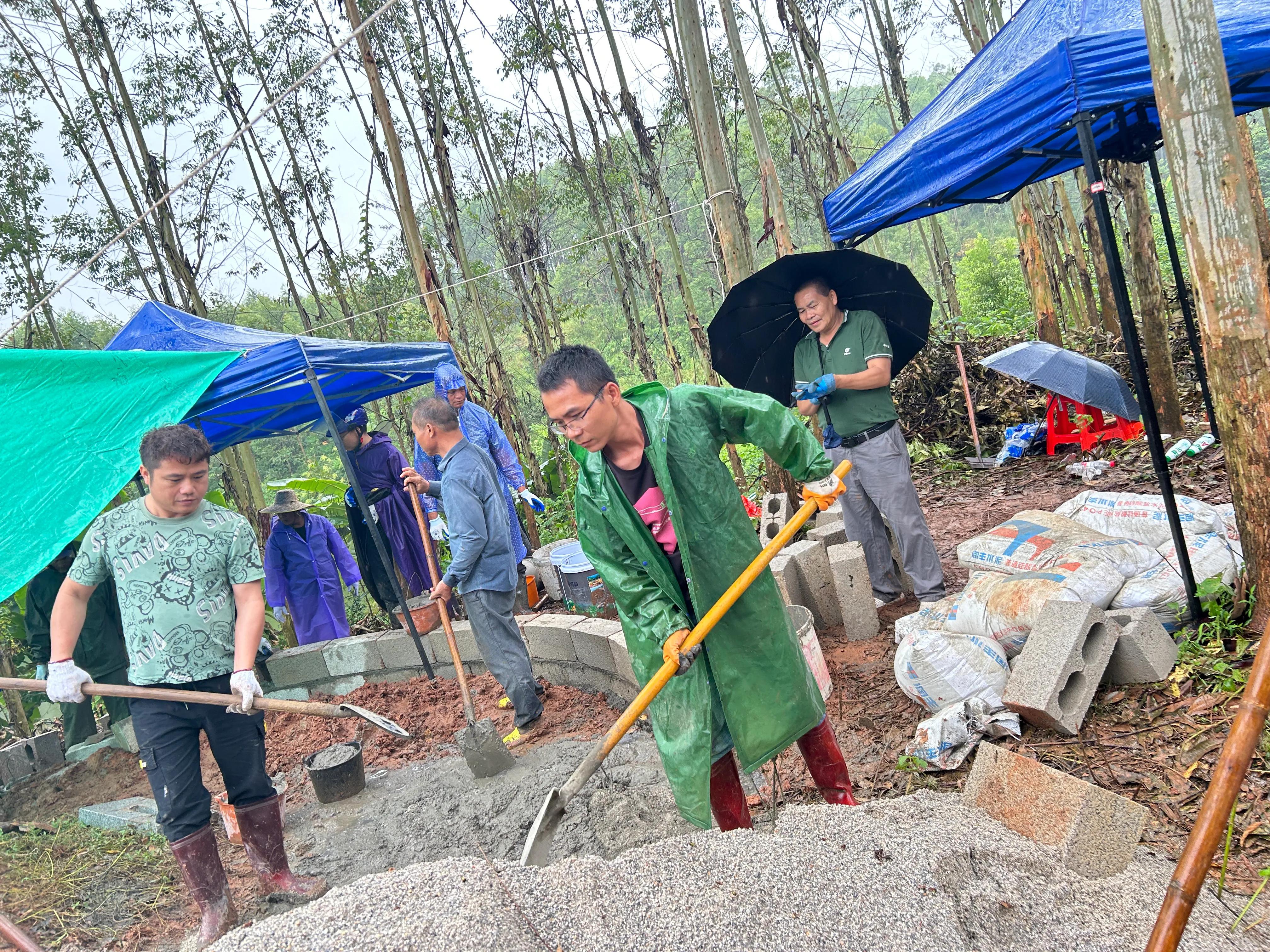 重修应苗公祖墓实录（下）——披荆斩棘凭实干，齐心协力功告成