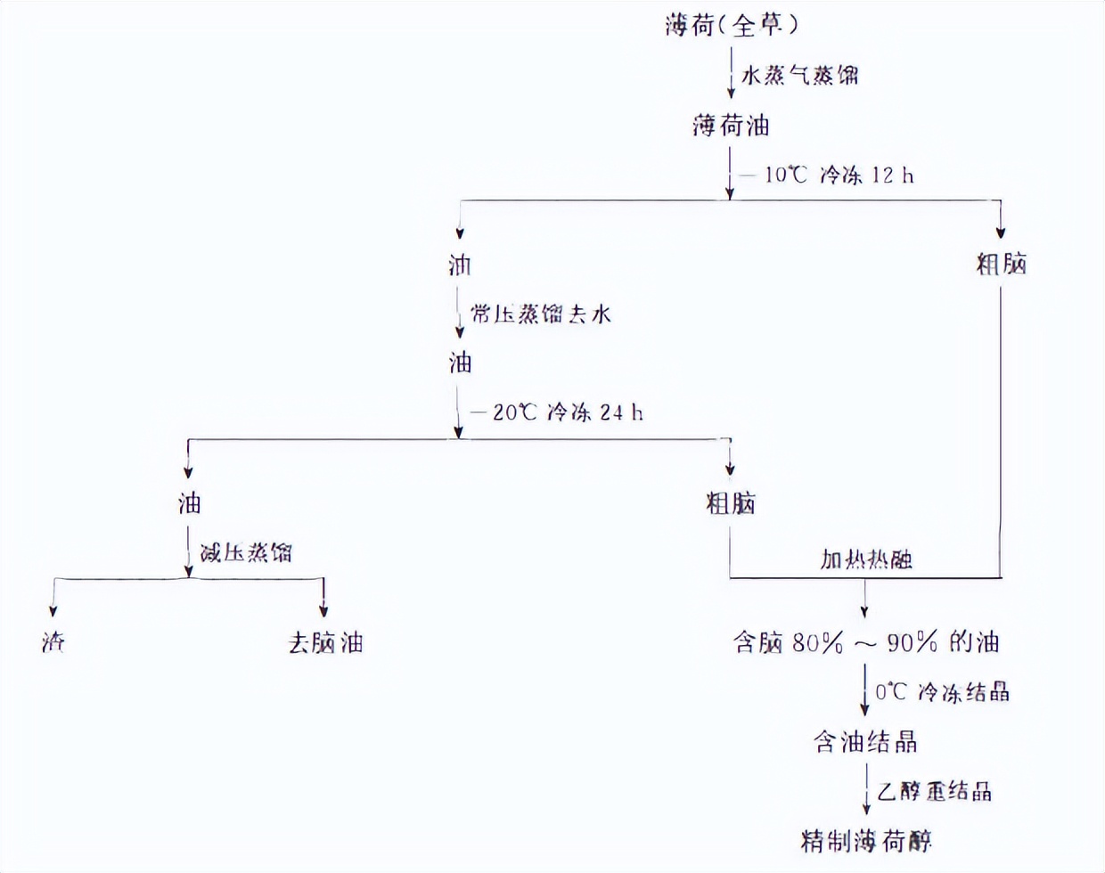 白胡椒挥发油和白胡椒精油,含精油或者挥发油的天然药物