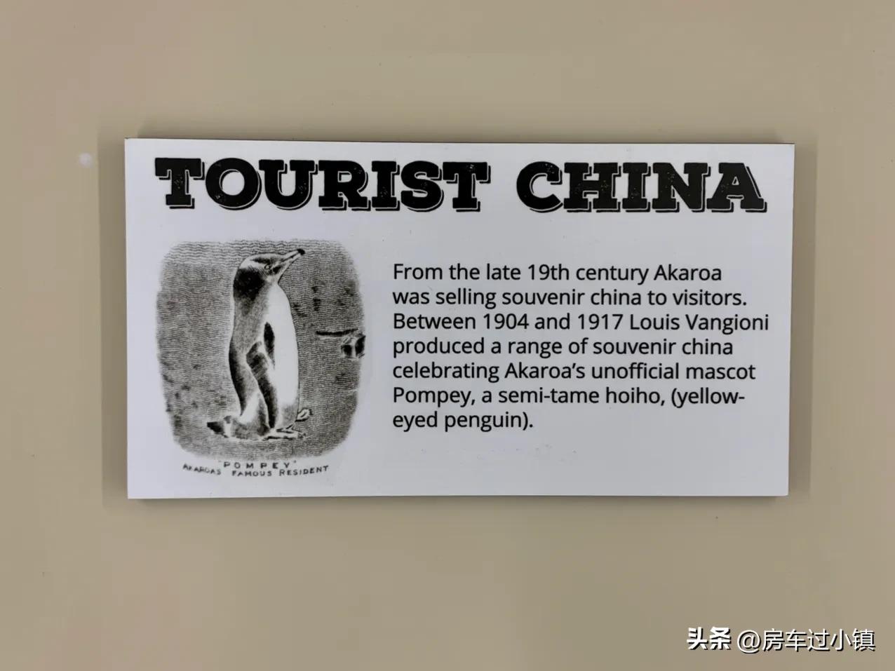 阿卡罗阿：被旅游业唤醒的法国记忆——新手新车新西兰之十二