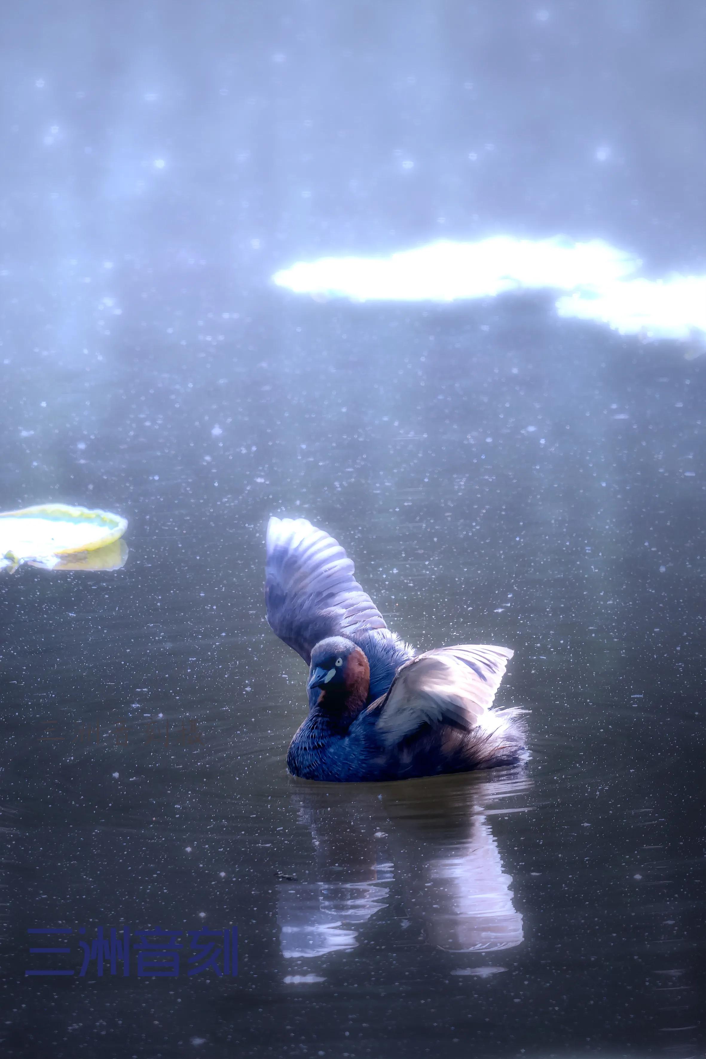 上海国际汽车城安亭,上海市嘉定区安亭国际汽车城