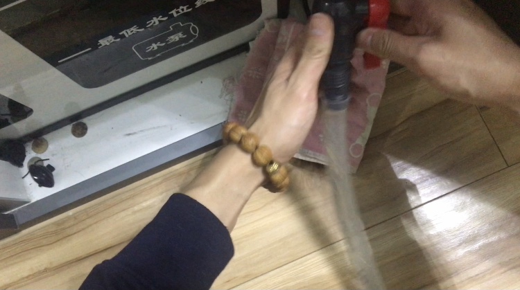 养鱼日记缸尾,养鱼日记底滤