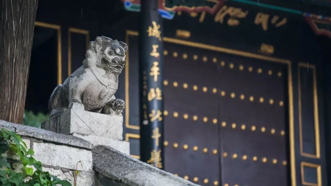 论语必背的100个成语,论语中的100个成语解释及出处