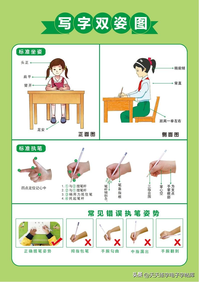 偏旁部首硬笔书法字帖电子版,基本笔画和偏旁部首标准字帖