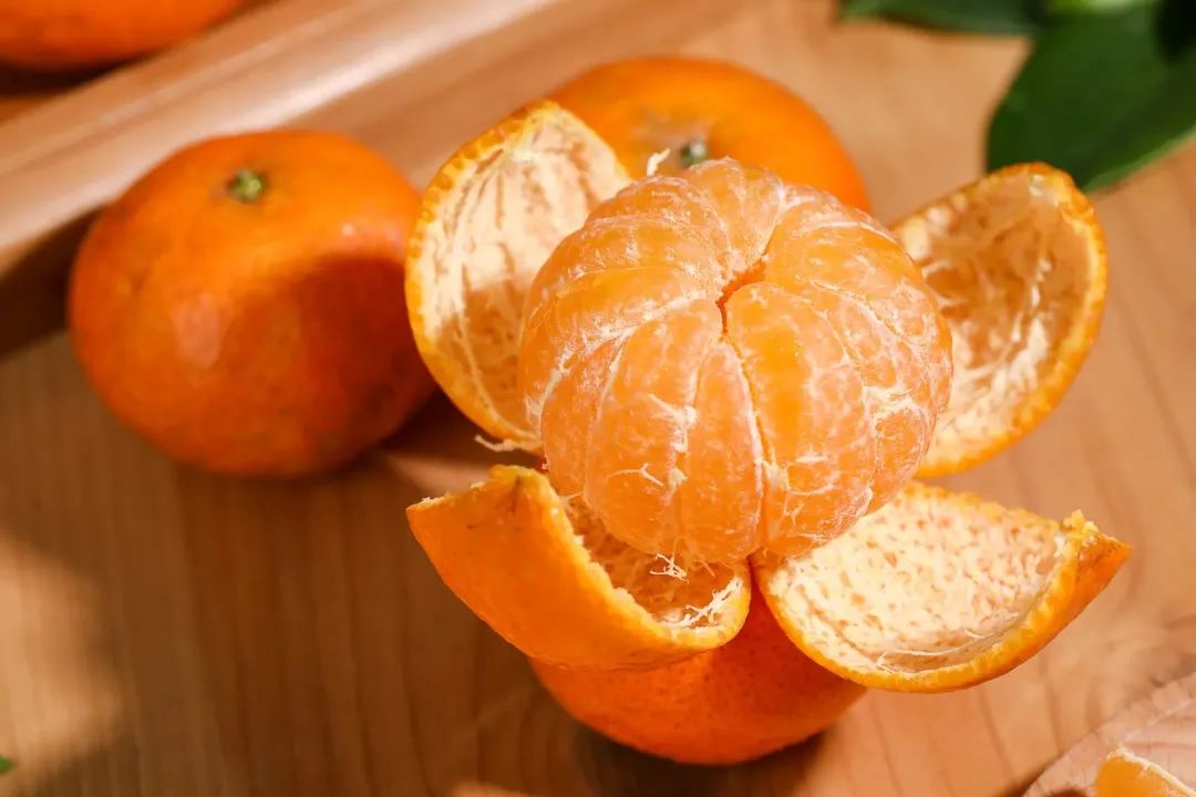 最大的沙糖桔到底有多大,进贡沙糖桔最有名产地