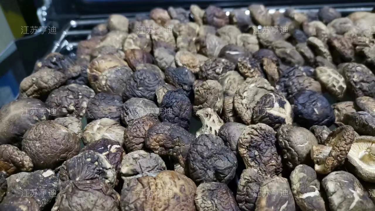 烘干效果好香菇干燥设备操作简单,烘干机烘干香菇的好处