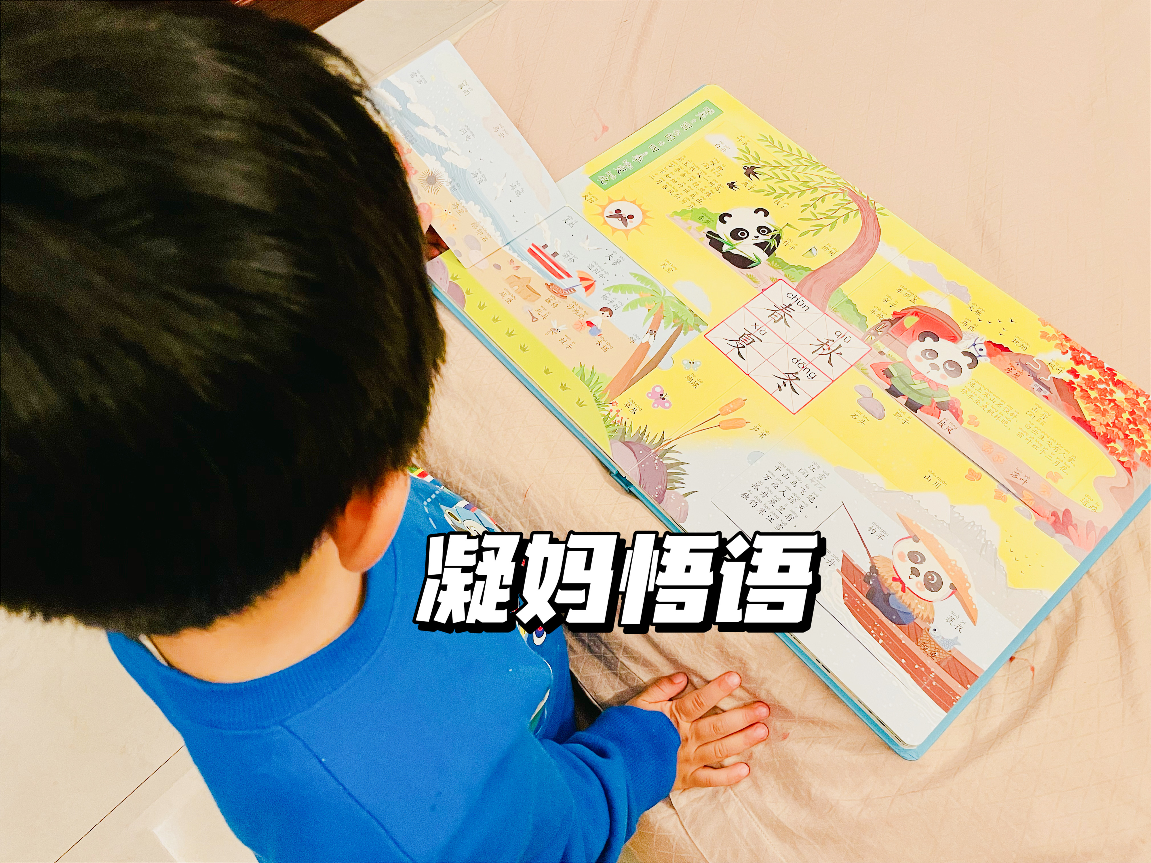 适合孩子的识字书,少儿识字书籍哪个好