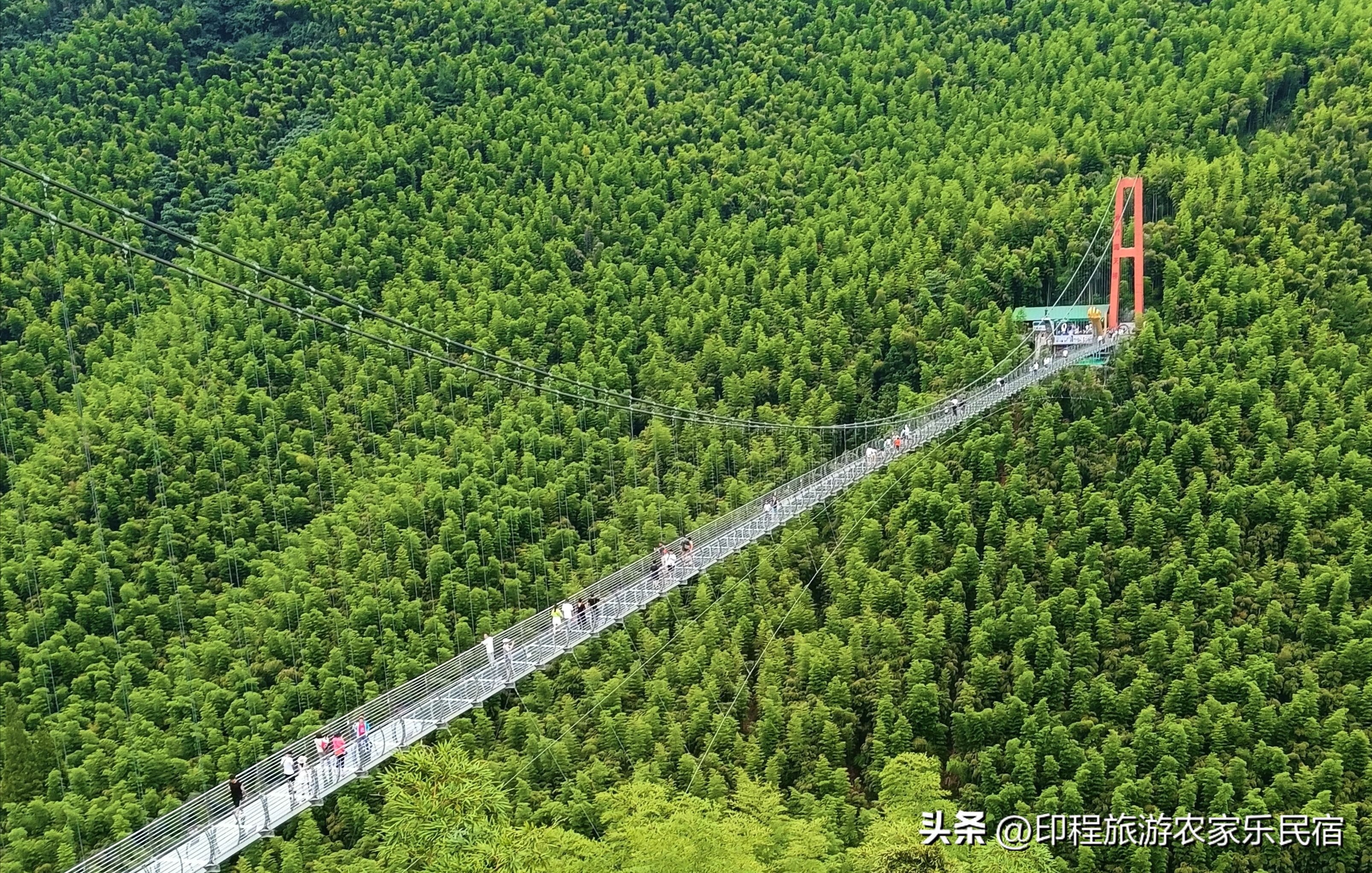 浙江安吉避暑哪里最好,夏天浙江避暑最佳旅游地