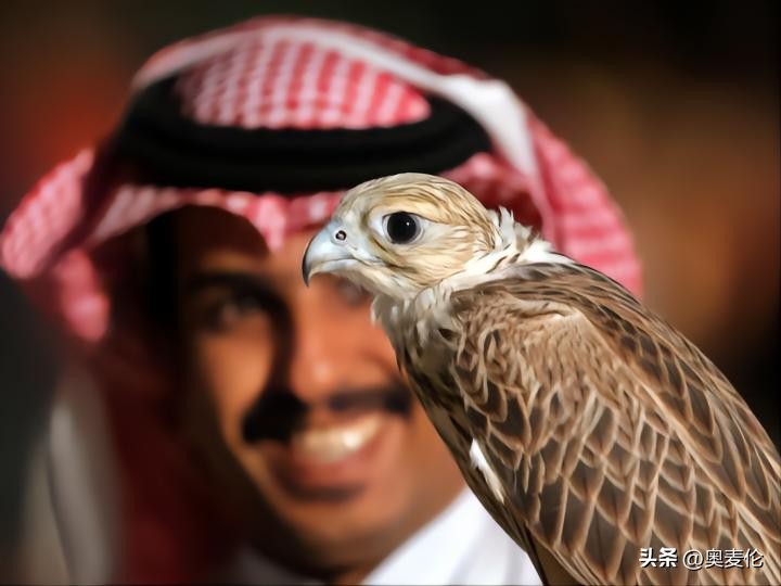 最近几年世界杯战况分析,为什么世界杯都是足球比赛