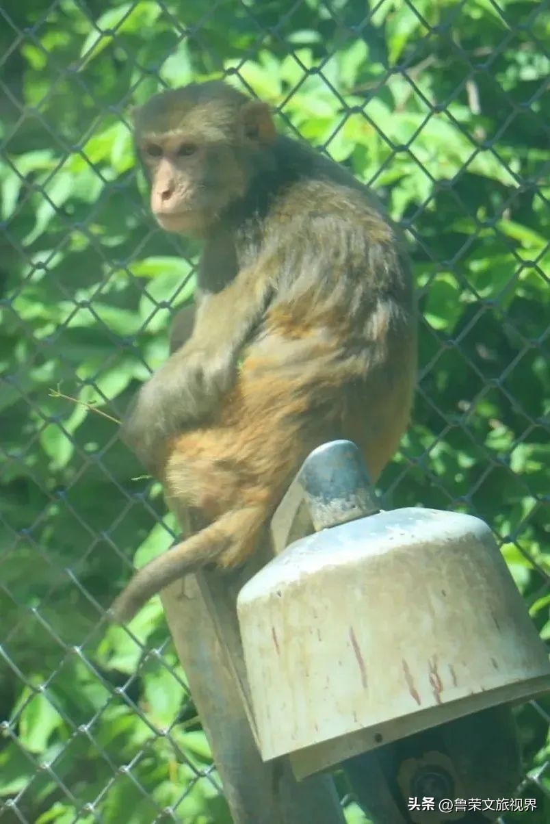 西安旅游攻略大全坐地铁,西安地铁旅游攻略三日游