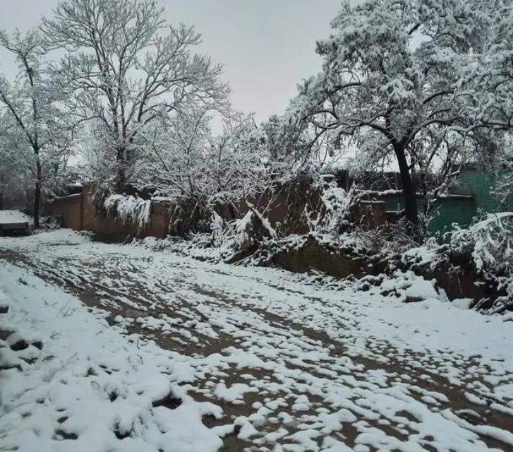 数九俗称交九,数九到九九有什么说法