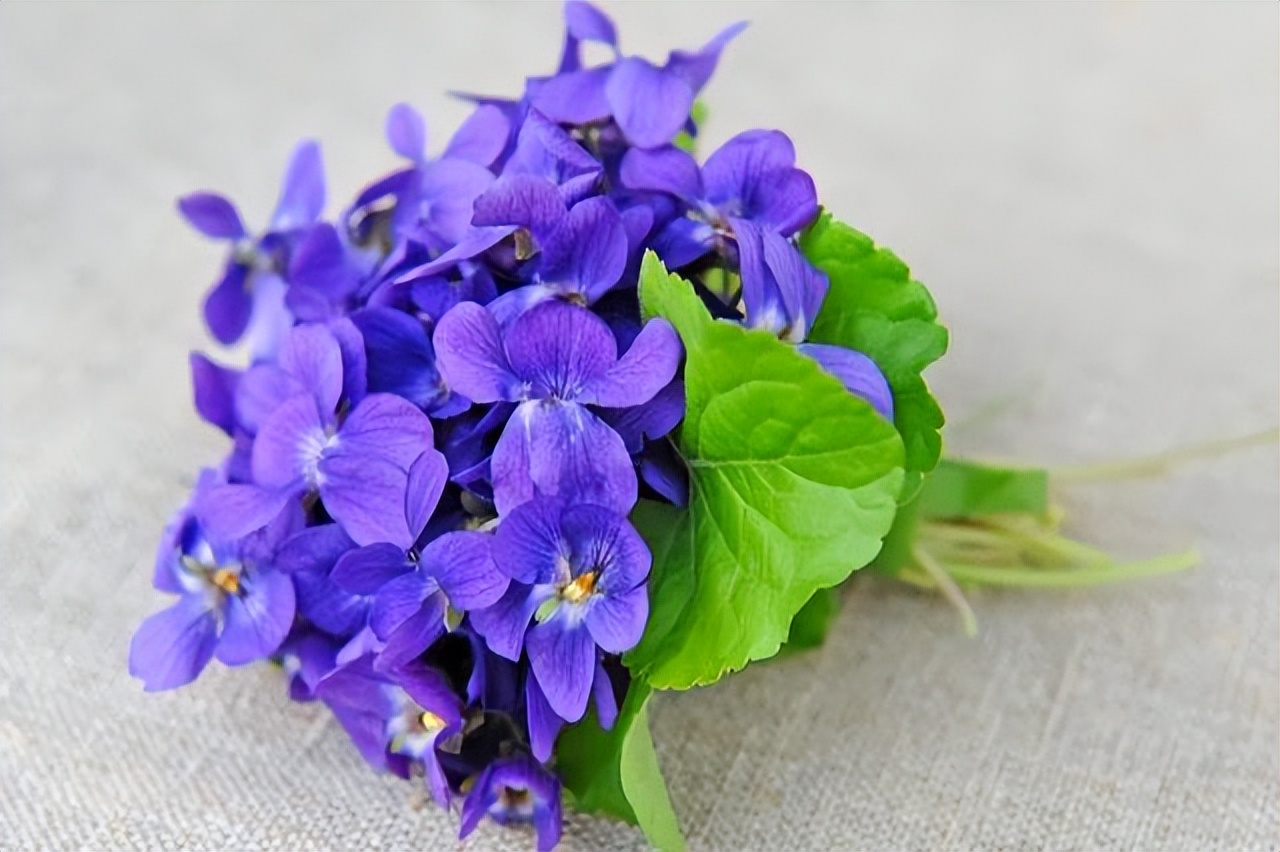 一个女人的品味看她的鞋子,一个女人过得好不好很容易看出来