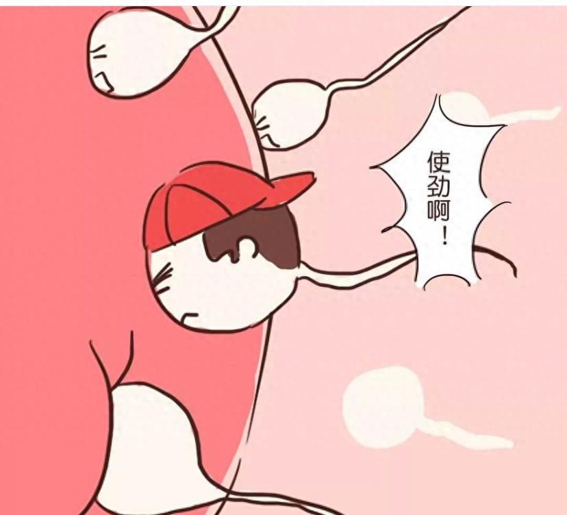 失落的小勇士们,踏上了怀孕之路