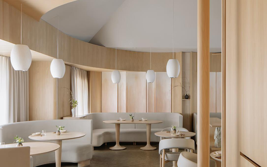 typology涓枃,typology