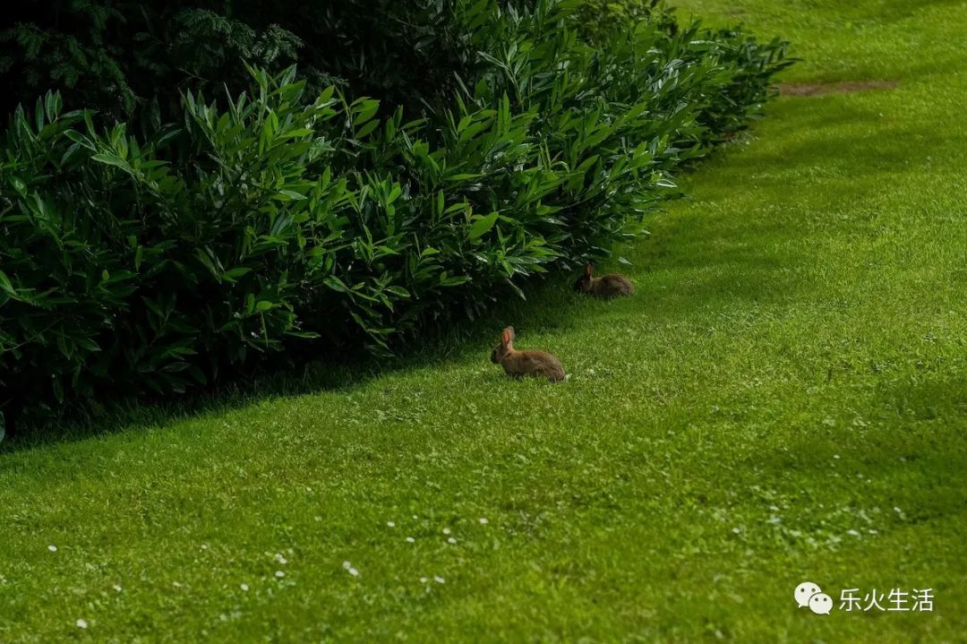 上海开业10个月获米其林餐厅,巴黎开业20年的米其林三星餐厅