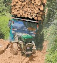 神回复有深度的话,神回复的意思