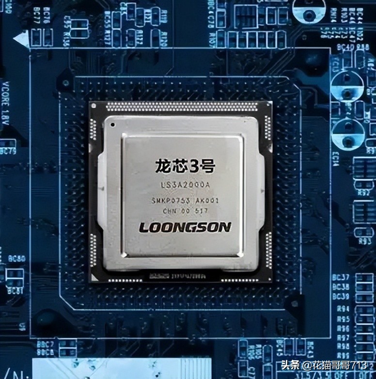 猫哥俄罗斯,猫哥在俄罗斯最新视频