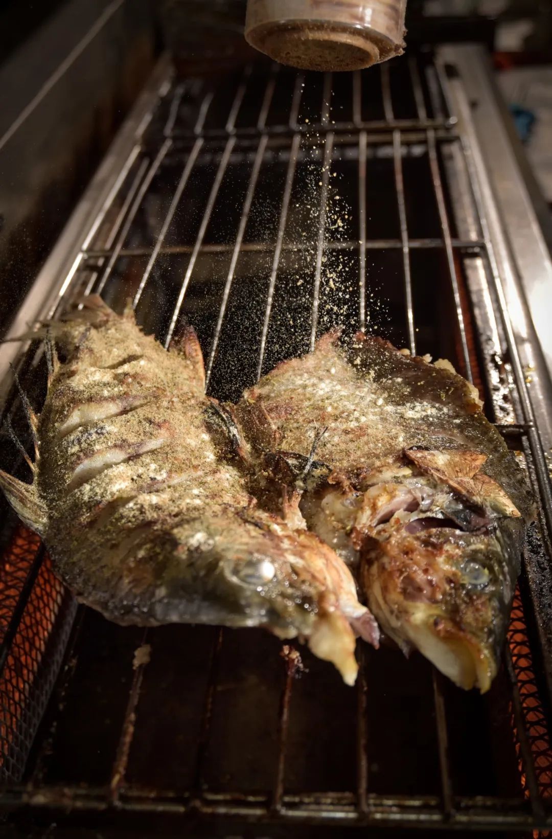 合江是长江出川的最后一个县城吗,四川合江长江