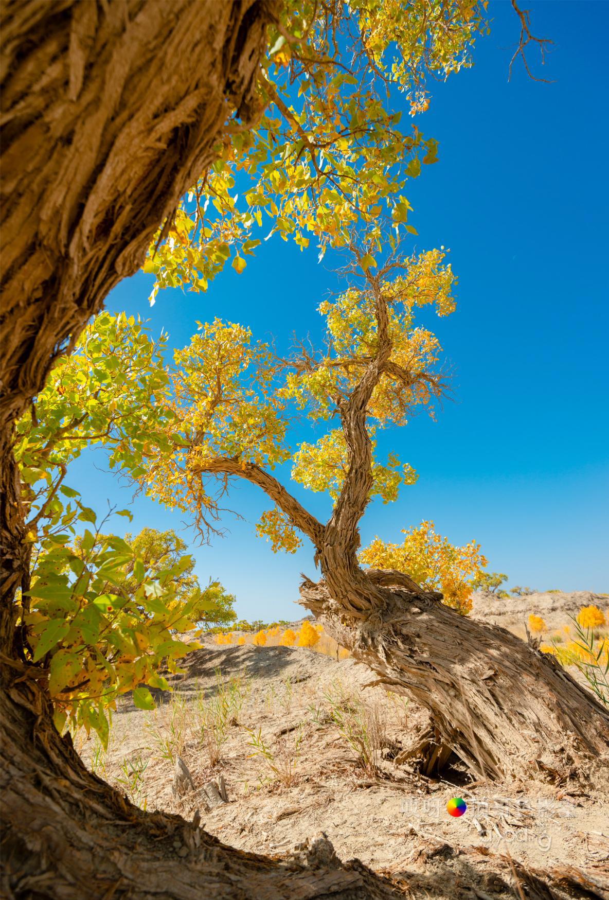 女司机带娃去新疆自驾游,带着女司机自驾游兰州