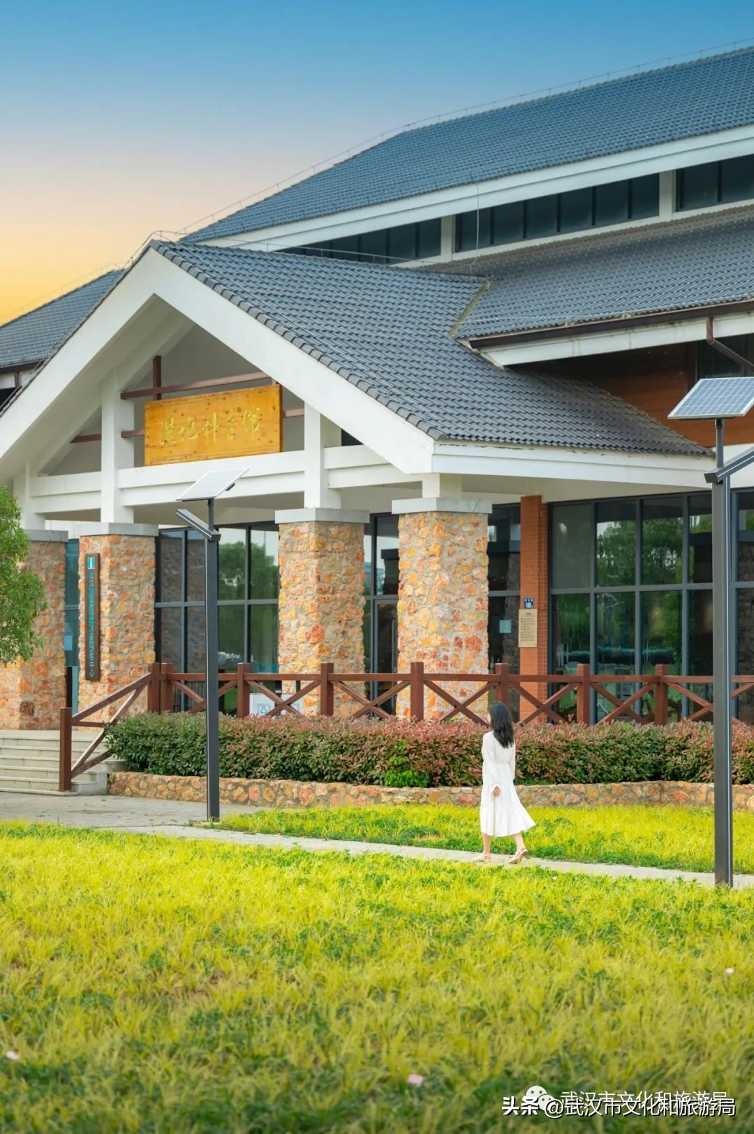 万亩野生古茶园,武汉野生森林