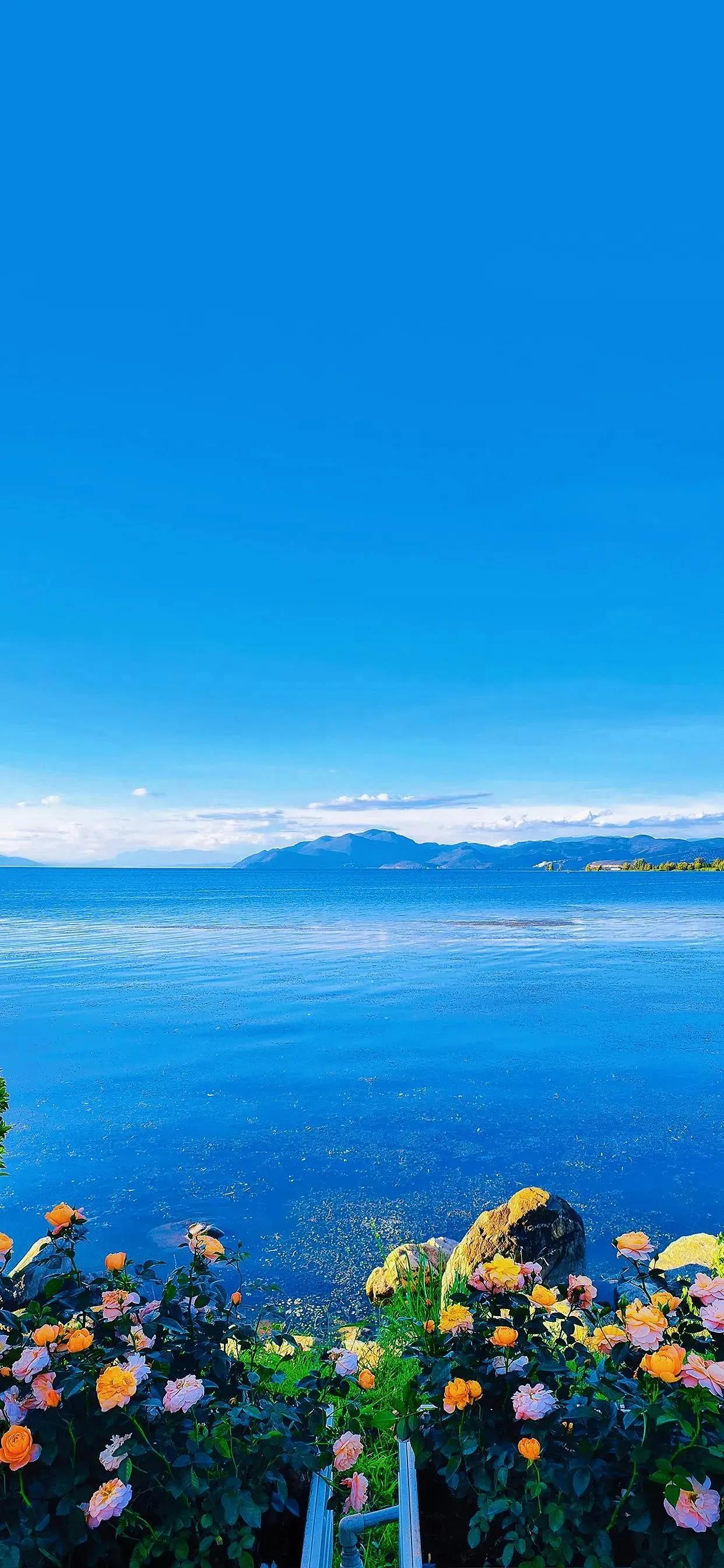 4k120帧美女壁纸,4k壁纸120帧绿巨人