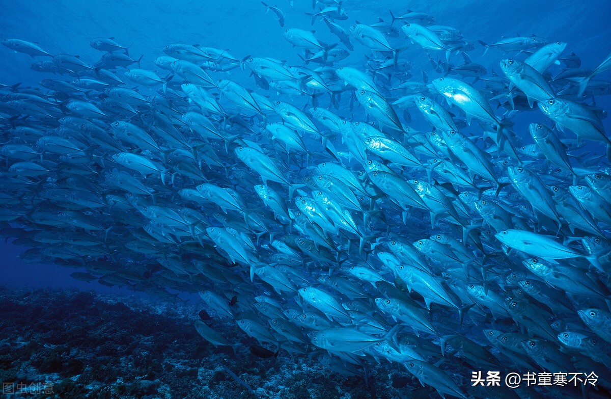 泊松分布在保险中有什么应用,认识保险公司的人有什么好处