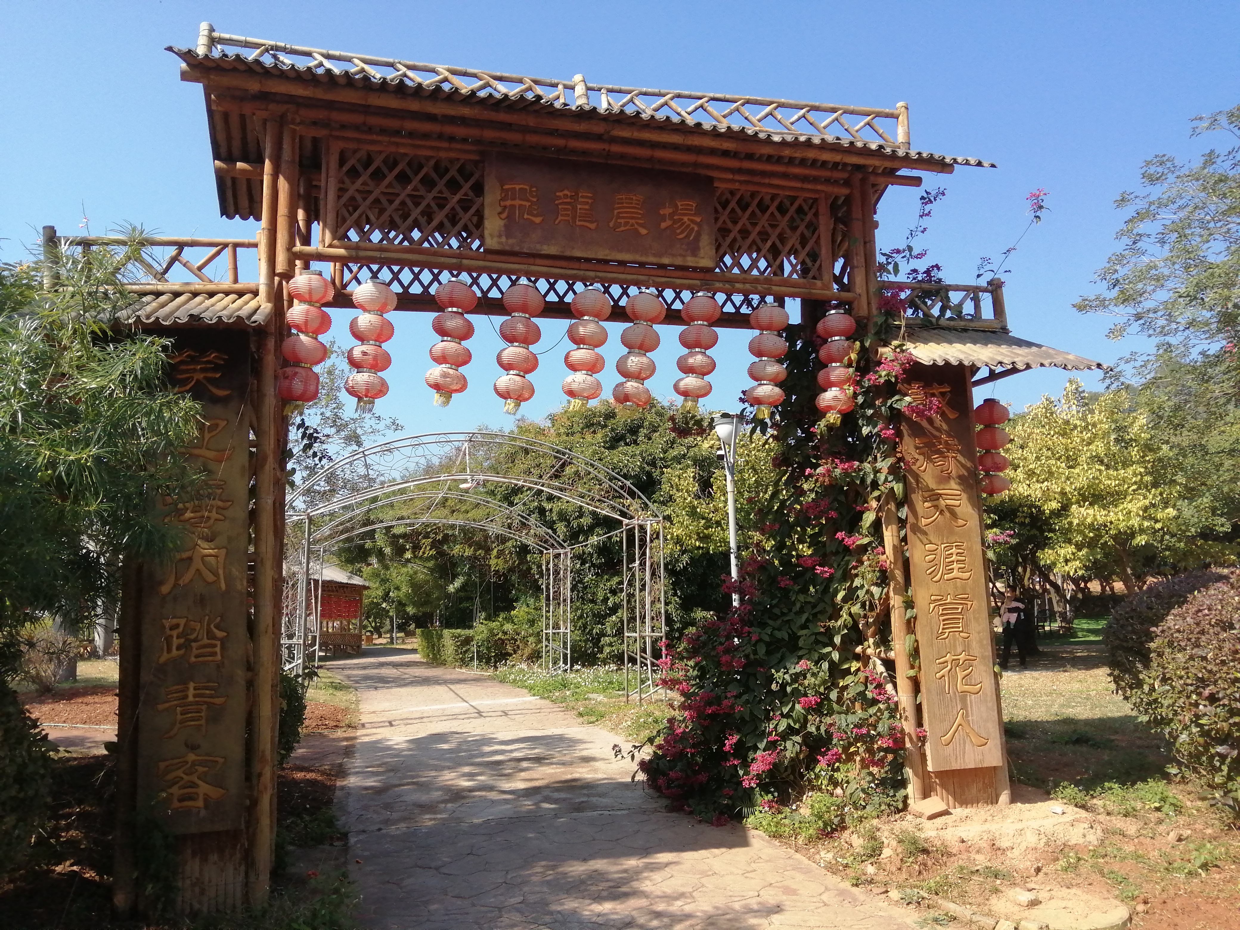 客天下(四):客天下田园花海CS战场山地车小朋友玩得乐不思蜀