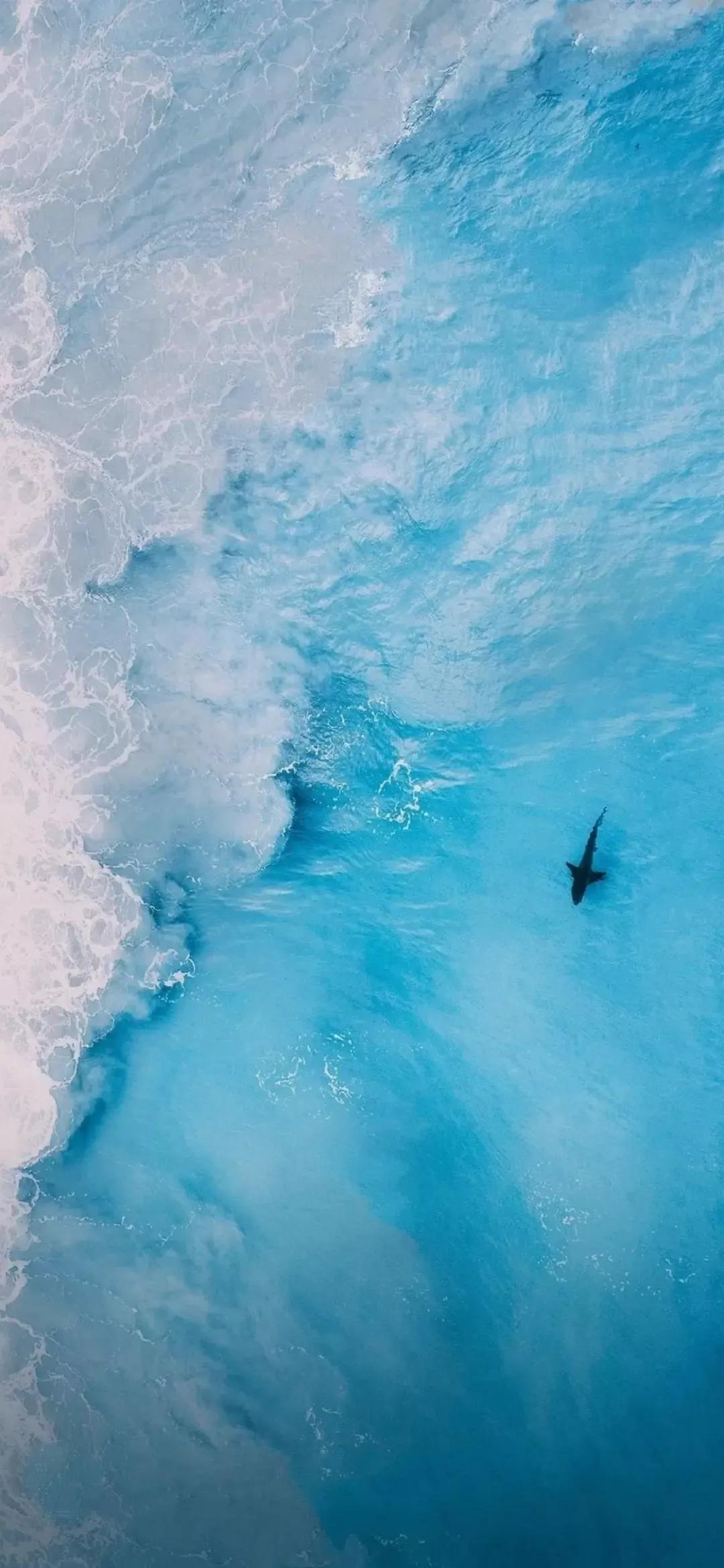 大海壁纸｜大海边，守候朝霞，聆听海浪的乐章