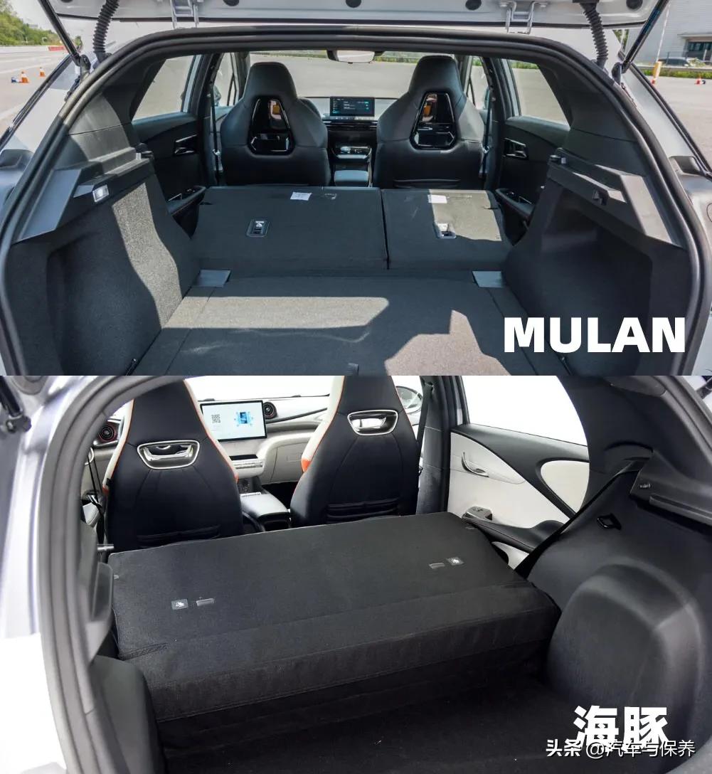 海豚和mulan对比,mulan和海豚