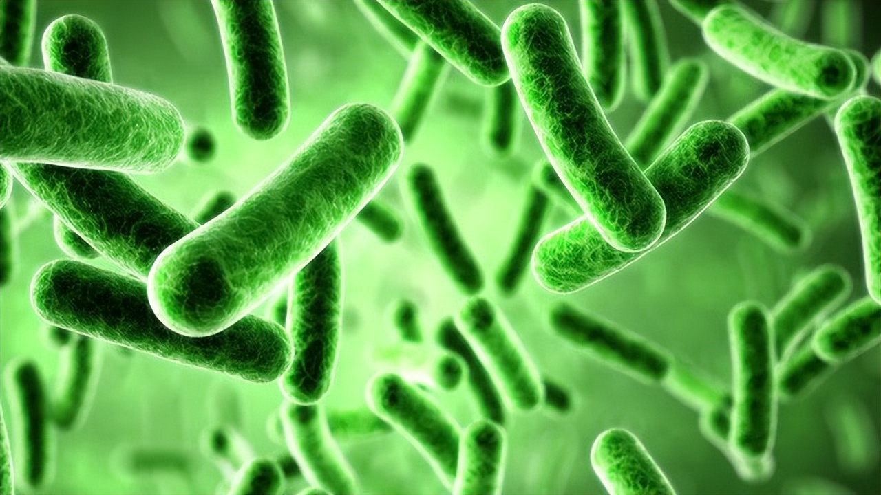 男子发现阴虱,男子阴处局部痒怎么回事