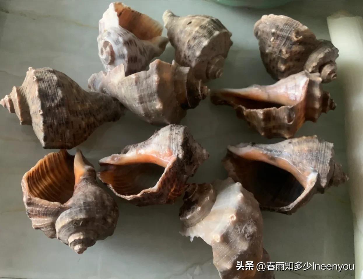 生活本就是不停的奔波,元旦将至忙忙碌碌