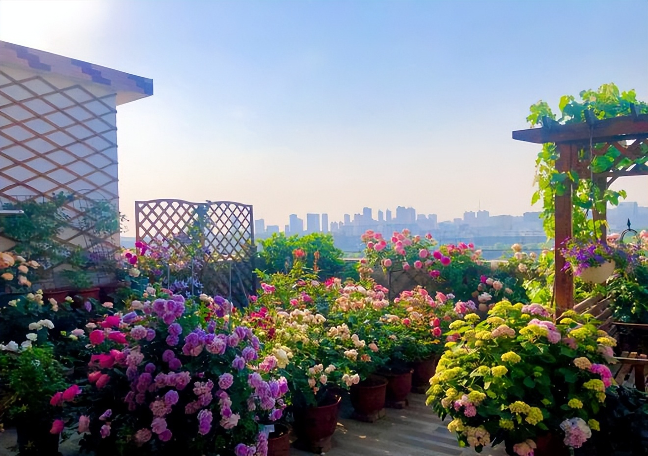 顶楼业主的解决办法,顶楼怎么样防热