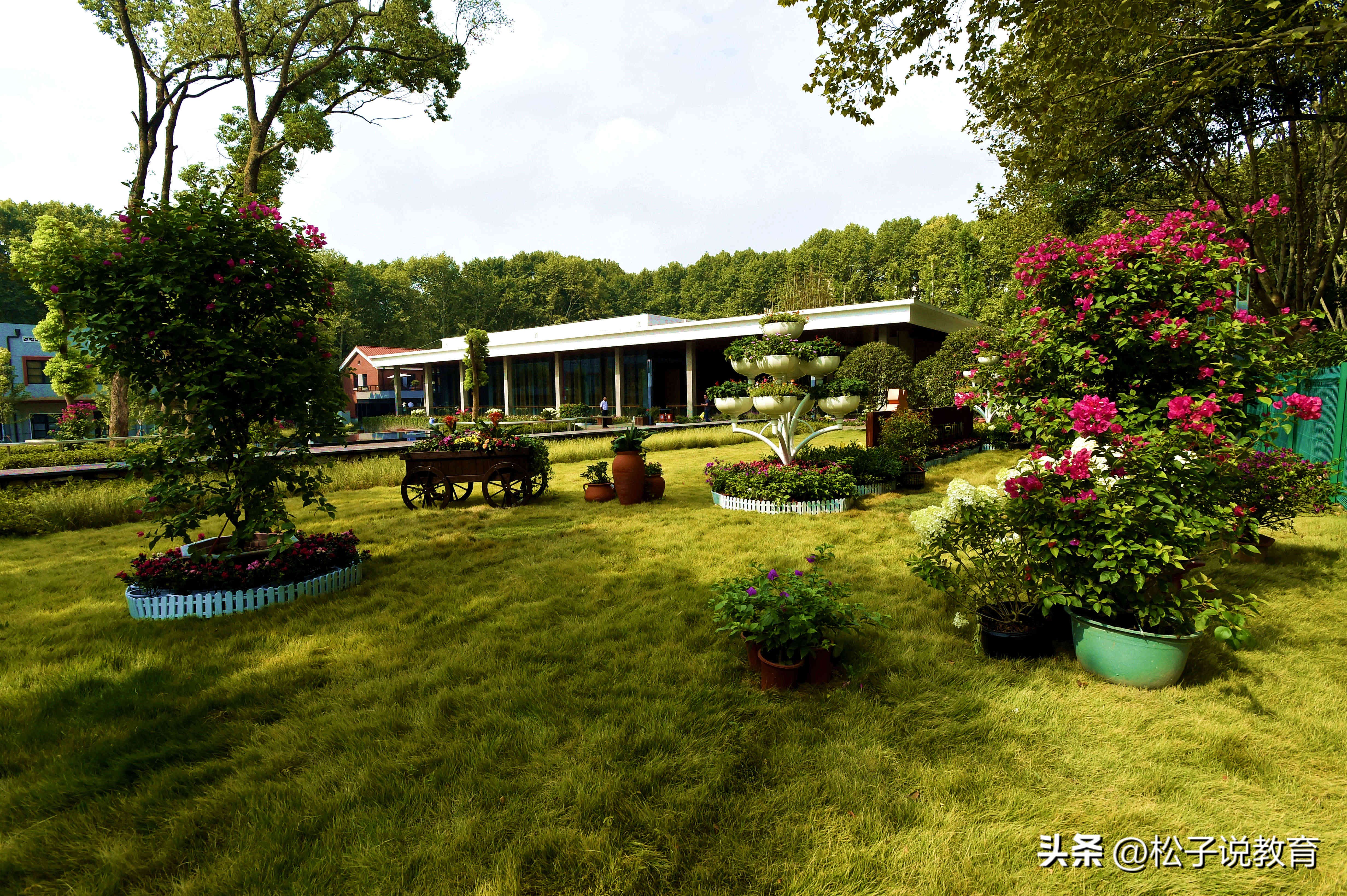 华中科大多少分,华中科大录取分数线2021年