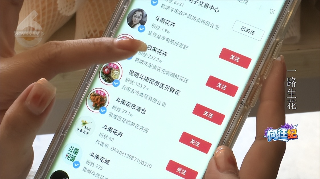 盘点人们都向往的工作,向往的工作和现实的工作