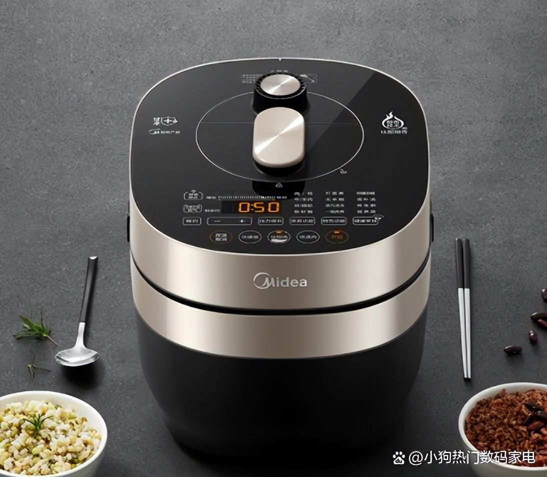 电压力锅十大品牌排名,十大品牌电压力锅质量排名图片