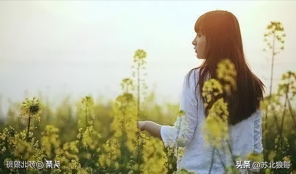 孽缘讲述一个女人被家暴的故事,孽缘一个长期被家暴的女人