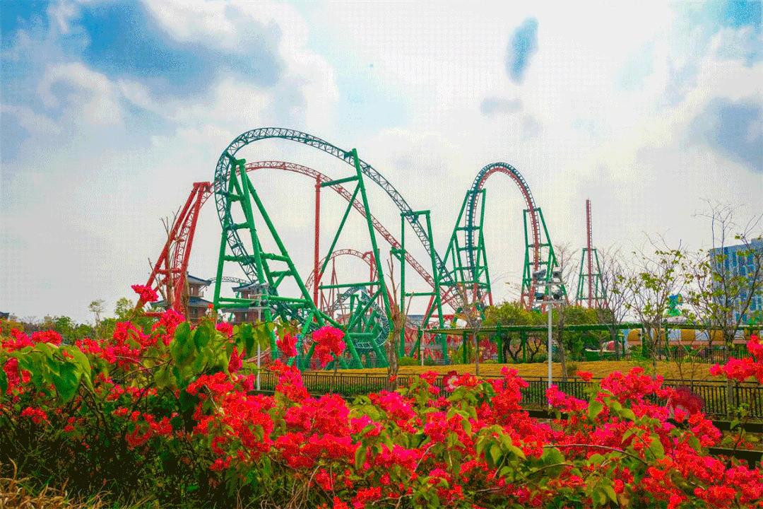 你喜欢的颜色是什么的英文,你喜欢的颜色暴露出你的性格