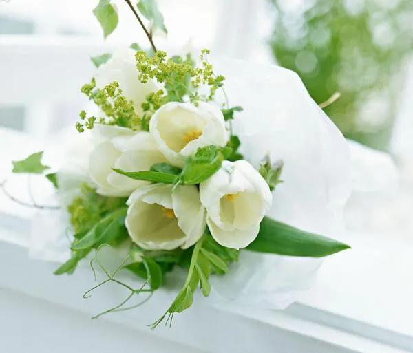 郁金香的花语可以送给妈妈吗,郁金香的花语和象征含义