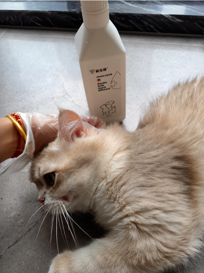 益生修宠物灭菌液能消毒么,猫杀菌去味喷雾测评