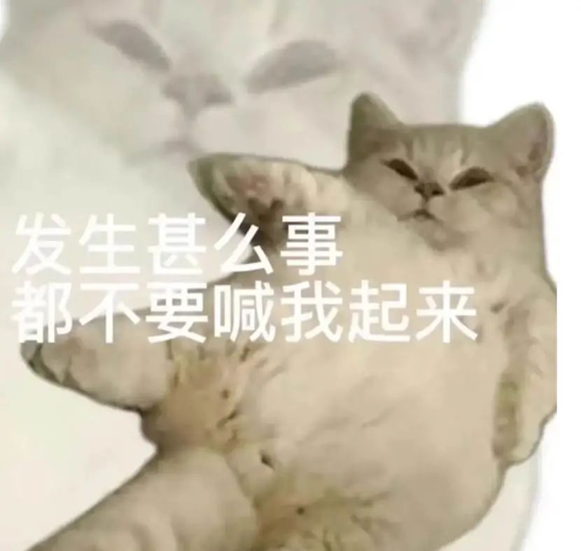 七匹狼腰带大人,七匹狼新款潮流腰带