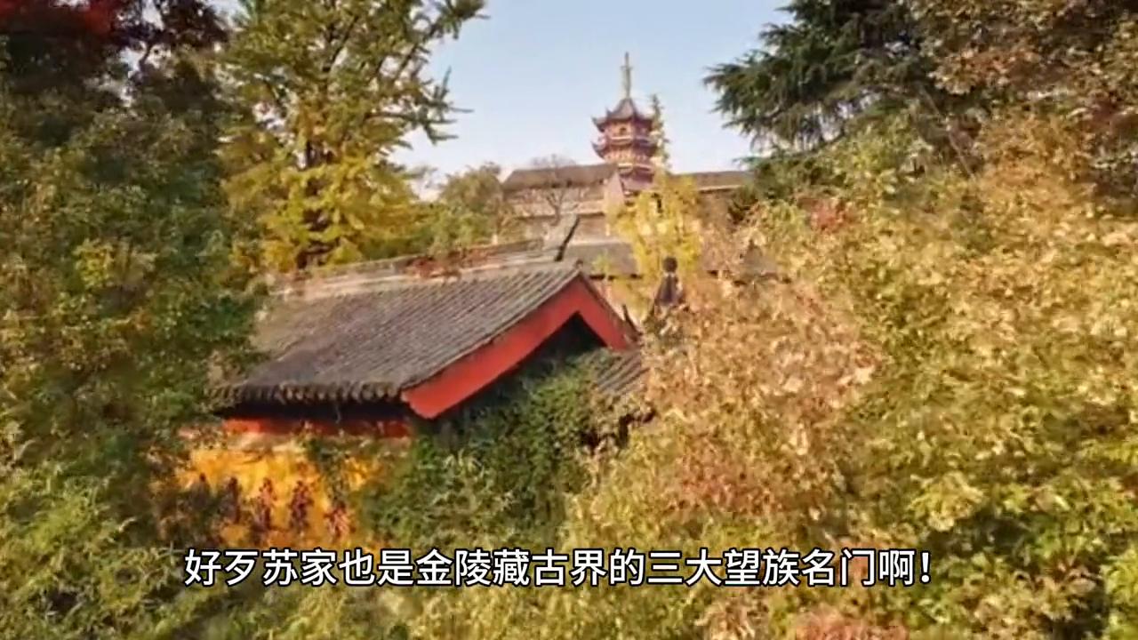 鉴宝大师,听泉鉴宝