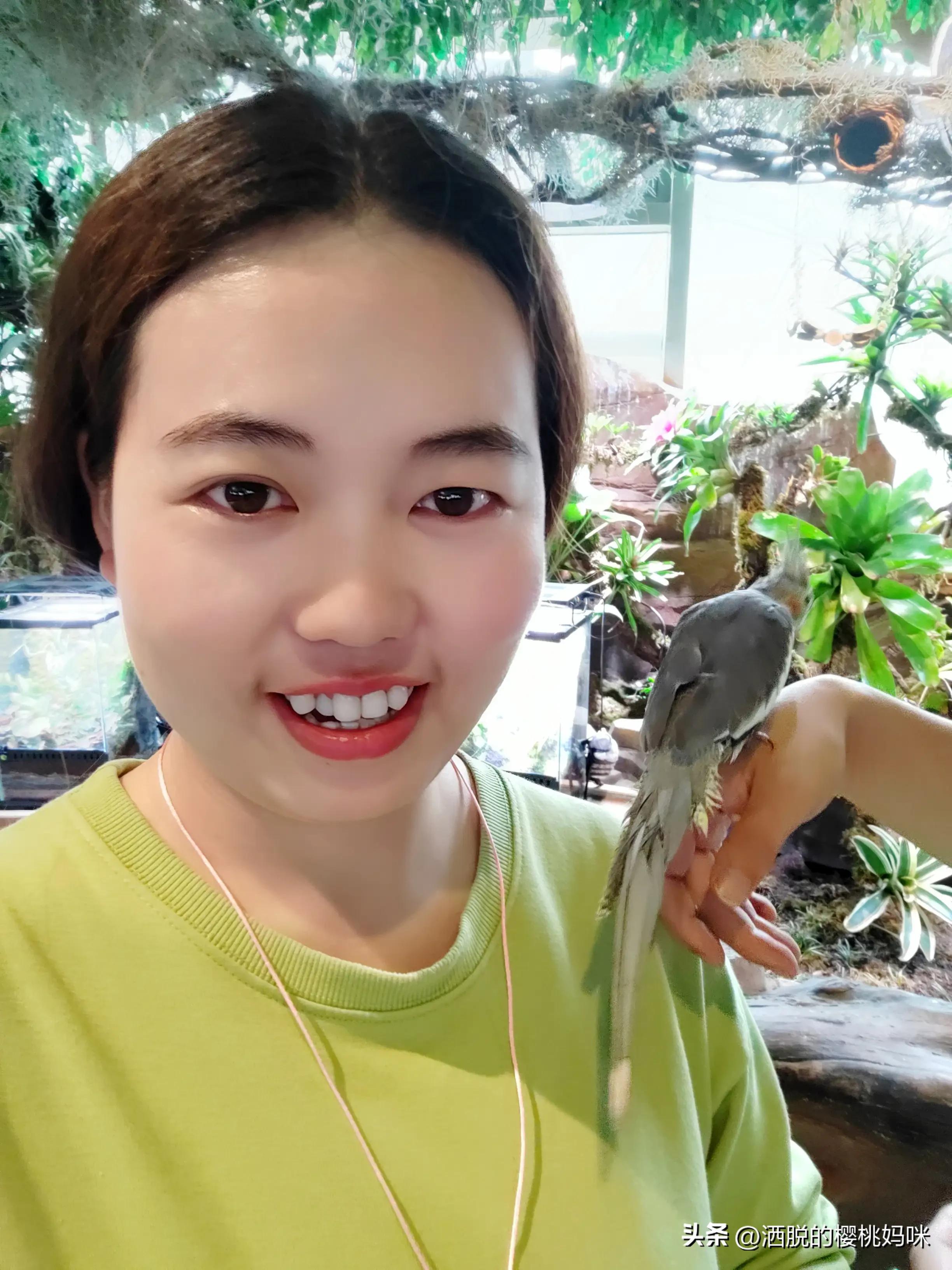 自我介绍怎么说又简单又好,自我介绍