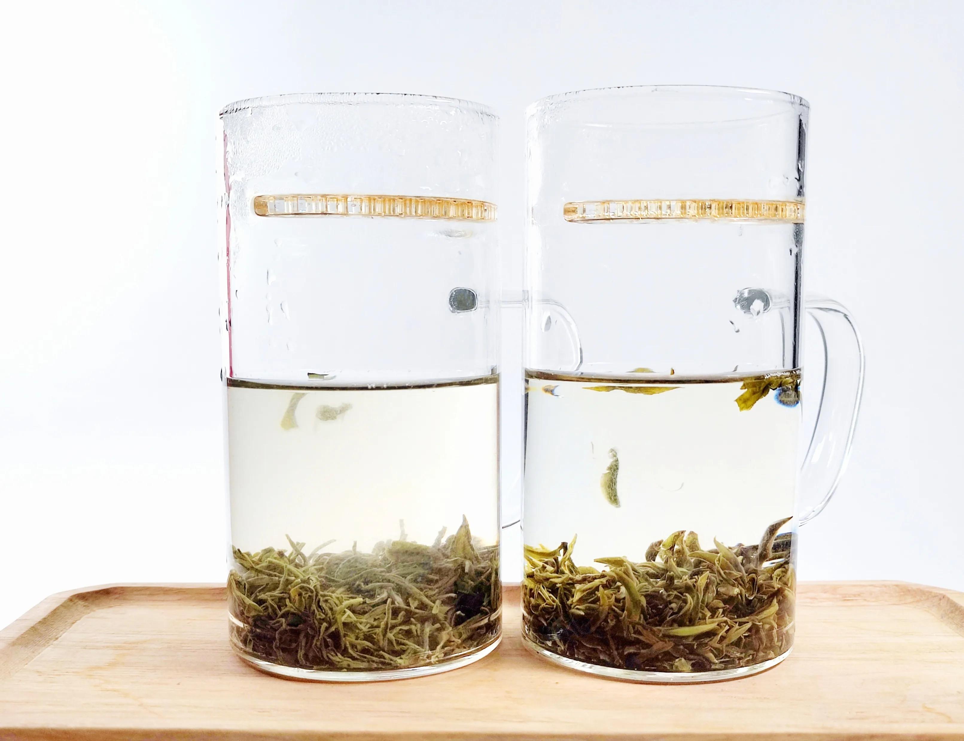 信阳毛尖茶和川茶,川茶和信阳毛尖的区别