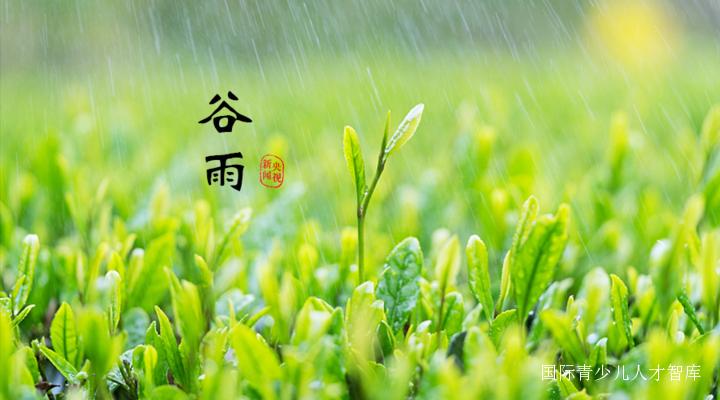 国际中文日谷雨,谷雨节气和联合国语言日