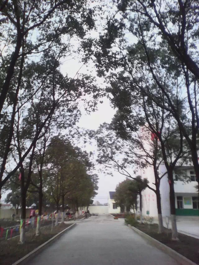 记忆中泛起的涟漪,记忆涟漪