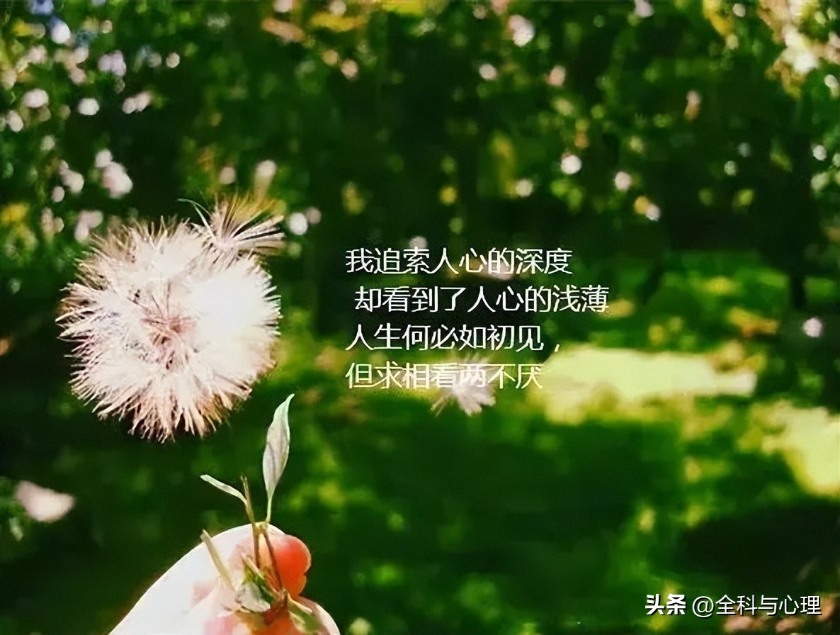 人生哲理感悟经典短句朋友圈,最经典的发朋友圈的感悟人生短句