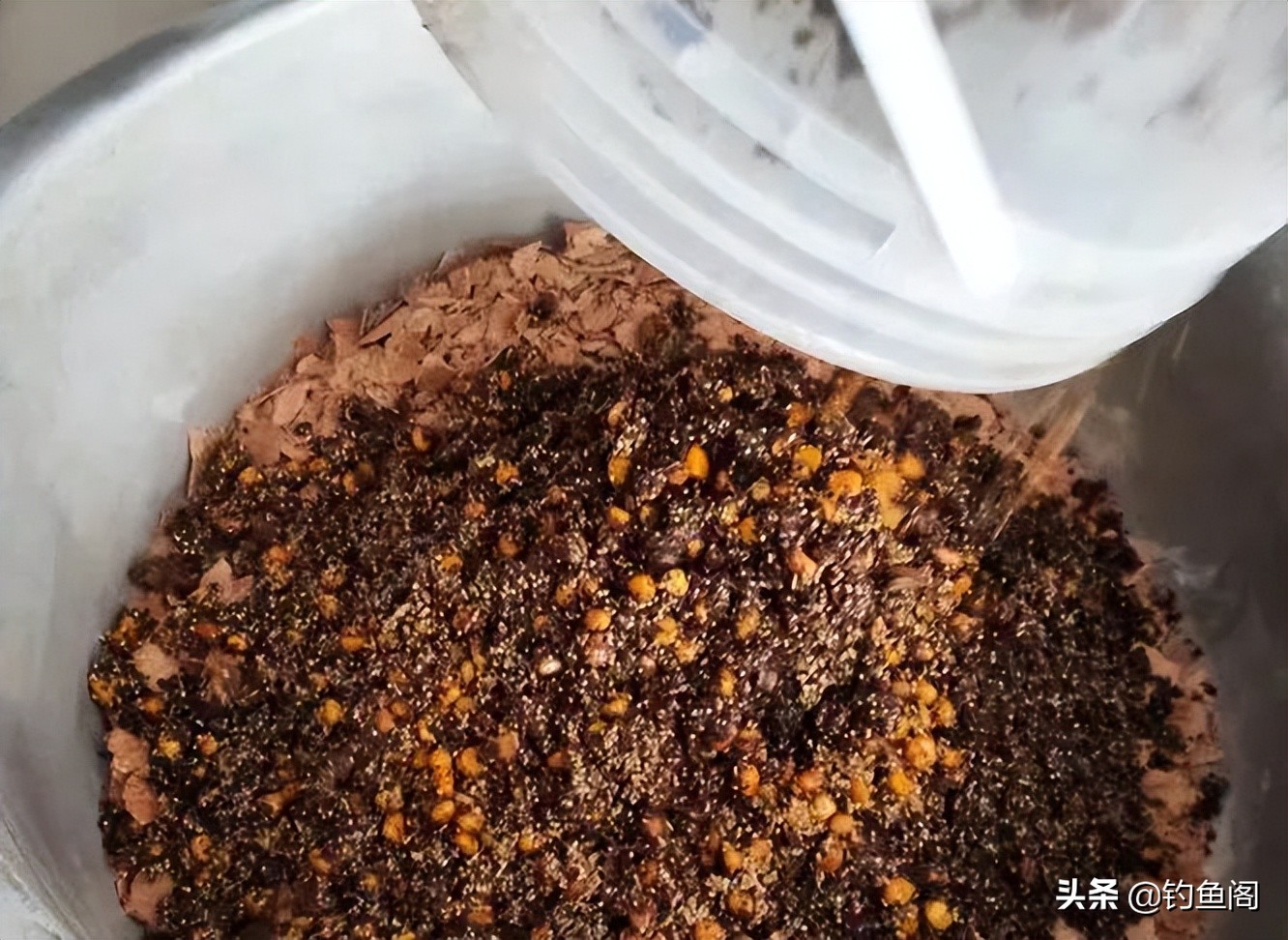 钓鲤鱼用什么绝对不空军,钓鲤鱼不能用的窝料